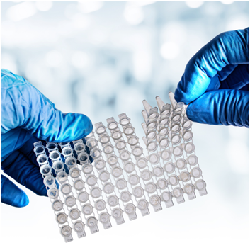 PCR products are not a simple piece of plastic