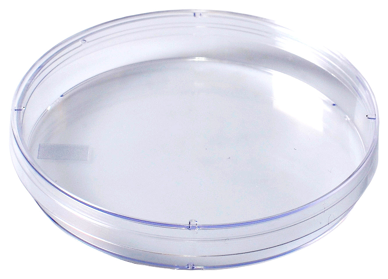 KORD-2910 PETRI DISH 100x15mm Slippable