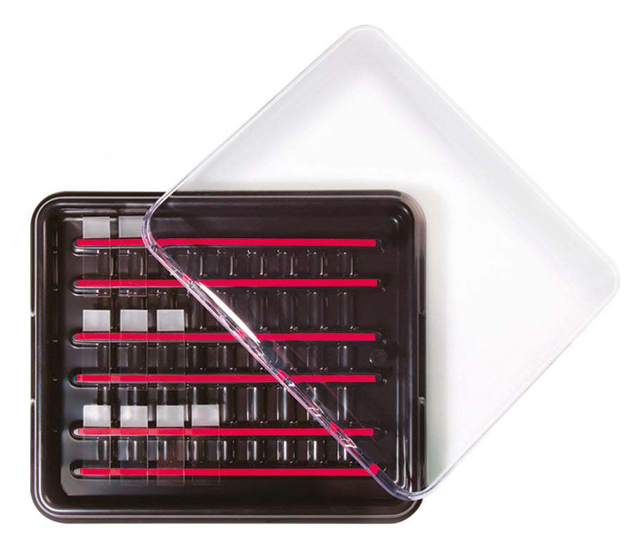 M922-x STAINING TRAY 30 SLIDES
