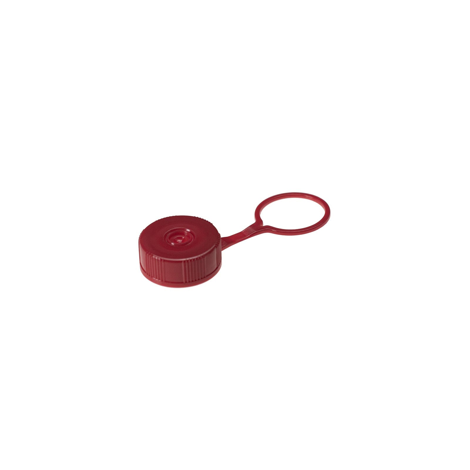 T366xLSL Screw cap with loop for 5ml tubes